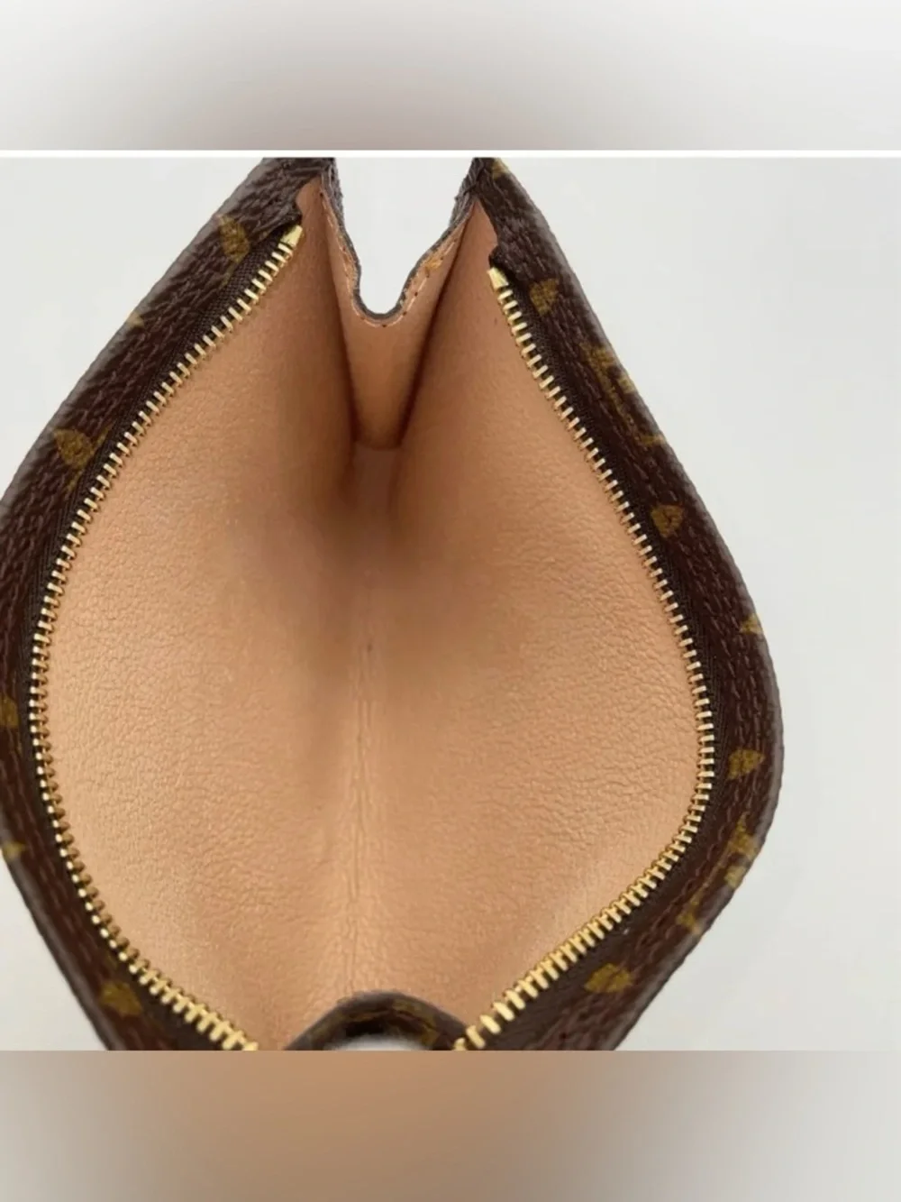 Louis Vuitton brand louis